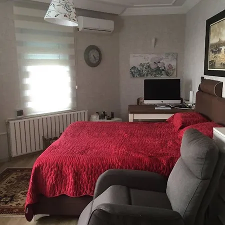 Villa Marmara With Full Sea View İstanbul